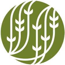 Palais des Thés logo